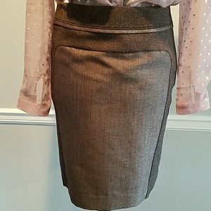 Limited Collection Skirt Size 2